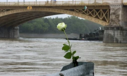 Une rose déposée au bord du Danube, à Budapest, le 30 mai 2019