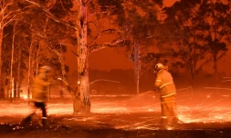 Des pompiers arrosent des troncs d'arbres pour lutter contre le feu dans la ville de Nowra en Nouvelle-Galles du Sud, le 31 décembre 2019