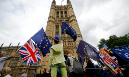 Des manifestants pro-UE se sont rassemblés devant le parlement britannique le 12 juin 2018