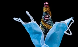 Un masque et un sapin de Noël miniature, le 8 décembre 2020