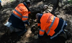 Deux archéologues fouillent le sol d'un terrain millitaire à la recherche de sépultures d'enfants harkis, le 28 février 2022 à Laudun-l'Ardoise, dans le Gard