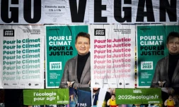 Des affiches électorales du candidat écologiste à la présidentielle Yannick Jadot, à Toulouse, le 22 janvier 2022