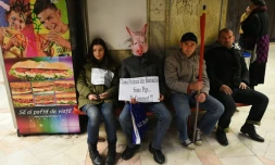 Des manifestants expriment leur colère contre la classe politique roumaine, le 7 novembre 2015 à Bucarest