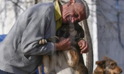 Slavisa Stojanovic serre contre lui un chien du refuge pour chiens abandonnés, le 12 novembre 2021 prÚs de Gracanica, au Kosovo