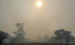 L'air de l'île indonésienne de Kalimantan pollué par des fumées d'incendies de forêt, le 20 août 2026 en Indonésie