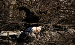Un membre des équipes de secours inspecte l'épave d'une voiture calcinée à Lahaina, le 17 août 2023 à Hawaï