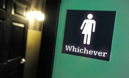 "Transgenre", "fluide", "intersexe": un nouveau lexique des genres voit le jour pour décrire la fin du modèle binaire hommes/femmes et accompagner l'émergence de nouvelles identités sexuelles.
