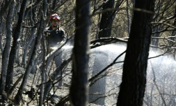 Un pompier lutte contre un incendie le 19 juillet 2016 dans la forĂȘt entre Correns et Montfort dans le sud-est de la France