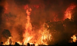 Un feu de forêt dans la région de Chefchaouen, le 15 août 2021 dans le nord du Maroc