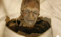 Photo prise le 27 juin 2007 de la momie de la reine Hatchepsout, qui régna sur l'Egypte entre 1479 et 1458 avant J.C, le plus long règne d'une femme pharaon, au musée du Caire