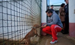 Un détenu de la prison de haute sécurité de Monsanto caresse un chien à travers un grillage, le 24 octobre 2016 à Lisbonne, au Portugal