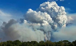 Des nuages de fumĂ©e s'Ă©chappent des incendies de forĂȘt dans la zone humide du Pantanal, Ă Porto Jofre, dans l'Ătat du Mato Grosso, le 13 novembre 2023 au BrĂ©sil