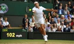 Le Suisse Roger Federer face au Tchèque Tomas Berdych en demi-finales à Wimbledon, le 14 juillet 2017