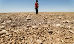 Un champ desséché dans la région de Saadiya, au nord de Diyala, en Irak le 24 juin 2021