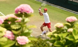 Le Serbe Novak Djokovic à l'entraînement à Wimbledon, le 12 juillet 2018