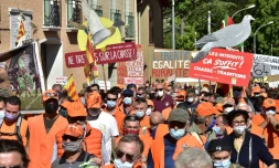 Manifestation pour la chasse à la glu le 12 septembre 2020 à Prades