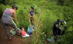 la "raspachin", ramasseuse de feuilles de coca colombienne, Karen Palacios et sa fille se préparent pour leur journée de travail dans les montagnes de la municipalité de El Patia, dans la région de Cauca en Colombie, le 5 mai 2021