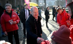 Le chancelier allemand Olaf Scholz (d) rencontre des électeurs alors qu'il fait campagne à Potsdam, la veille des élections législatives, le 22 février 2025 dans l'est de l'Allemagne