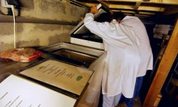 Des inspecteurs vérifient la nourriture stockée dans les congélateurs d'un restaurant