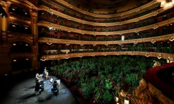 El cuarteto Uceli actĂșa para un pĂșblico formado por plantas durante un concierto creado por el artista español Eugenio Ampudia, el 22 de junio de 2020 en el Gran Teatro Liceu de Barcelona