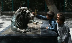 Des enfants afghans touchent la statue de "Marjan", le lion du zoo de Kaboul, symbole de la résilienne afghane, le 12 juillet 2016 à Kaboul