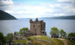 Ce n'est pas un requin, pas davantage un poisson-chat ou un esturgeon géant. Et si l'insaisissable monstre du Loch Ness était... une anguille géante?