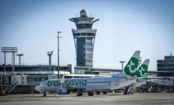 Des avions de la compagnie Transavia sur le tarmac de l'aéroport d'Orly, le 24 juin 2020