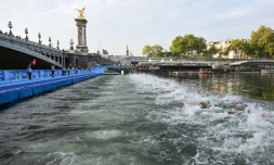 Les concurrents nagent dans la Seine lors de l'épreuve test de triathlon des JO-2024 organisée le 18 août 2023 à Paris