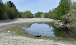Le lit de l'Agly quasiment à sec à Rivesaltes, dans les Pyrénées-Orientales, le 27 avril 2023