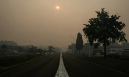 L'entrée de Biscarrosse (sud-ouest), sous un ciel jauni par les fumées d'un incendie de forêt qui se propage dans les environs, le 24 juillet 2026