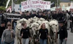 Des bergers, agriculteurs et élus de tous bords, manifestent à Pau le 30 avril 2018 contre la réintroduction de deux ourses dans les Pyrénées-Atlantiques (sud-ouest)