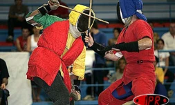 Canne de combat