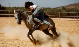 La cavaliÚre Raja Kheir tente de dresser son cheval dans son manÚge, aux environs de Majdal Shams (Golan), le 17 décembre 2015