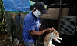 Jesus Sanchez élÚve lapins et poules dans la cour de sa maison à La Havane, le 24 juin 2020