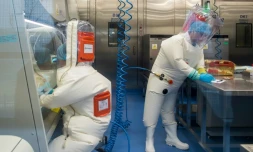 Dans le laboratoire de virologie P4 de Wuhan, le 23 février 2017