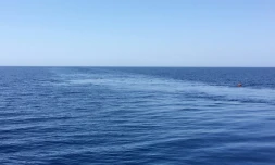 Des migrants nagent en pleine mer Méditerranée aprÚs avoir sauté par-dessus bord de l'Ocean Viking, le 2 juillet 2020