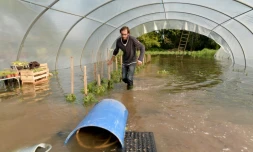 Une exploitation agricole inondée le 5 juin 2016 à Freuneuse