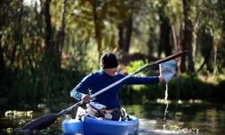 Omar Menchaca récupère des déchets en plastique dans les eaux des canaux de Xochimilco, le 25 janvier 2022 au Mexique