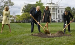 Le président des Etats-Unis Donald Trump et son homologue français Emmanuel Macron plantent un arbre, cadeau de la France, à la Maison Blanche le 23 avril 2018