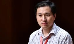 Le chercheur chinois He Jiankui lors d'une conférence internationale sur le génome humaine à Hong Kong le 28 novembre 2018
