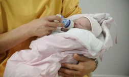 Le nombre de naissances a diminué de 14.000 en 2016