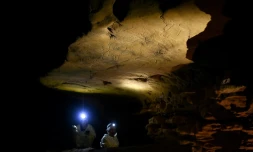 Des scientifiques éclairent avec leurs torches des gravures sur roche datant d'environ 30 000 ans lors d'une visite exclusive accordée par la DRAC de Nouvelle-Aquitaine, à l'intérieur de la grotte de Cussac, le 20 février 2025 au Buisson-de-Cadouin, en Dordogne