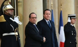 François Hollande et David Cameron sur le perron de l'Elysée le 23 novembre 2015 à Paris