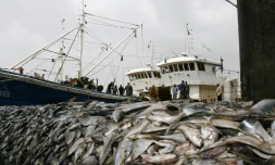 Pêche saisie sur deux chalutiers chinois pratiquant la pêche en eaux profondes au port d'Abidjan, en Côte d'Ivoire, le 27 décembre 2007