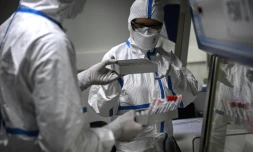 Des chercheurs à l'institut Pasteur font un séquençage génétique du virus du Covid-19, le 21 janvier 2021