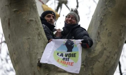 Thomas Brail (g.), militant écologiste et fondateur du GNSA (Groupe national de surveillance des arbres), et Tanus, membre du GNSA, tiennent un drapeau portant l'inscription "La voie est libre" devant le tribunal administratif de Toulouse, le 17 février 2025