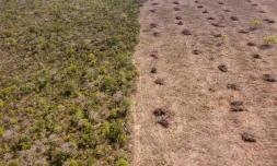 Vue aérienne de la déforestation dans le Cerrado, le 25 septembre 2023 dans l'Etat de Bahia, au Brésil