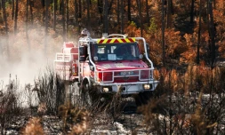 Un camion de pompiers au milieu d'une végétation en partie détruite par un incendie à Lège-Cap-Ferret, en Gironde, le 1er août 2026 