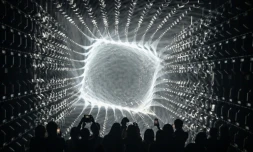 Des visiteurs de l'exposition d'art numérique du collectif japonais "teamLab", le 5 février 2024 à Tokyo