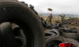 Jeudi 24 novembre 2005 -

Dans le cadre de la lutte contre le chikungunya, une opération de démoustication a été menée à la Jamaïque (Saint-Denis)